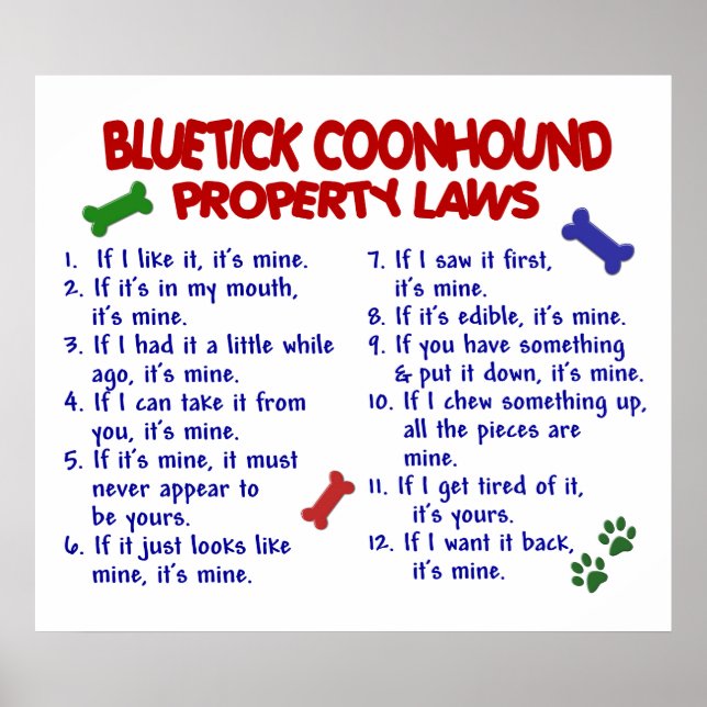 BLUETICK COONHOUND PL2 POSTER (Framsidan)