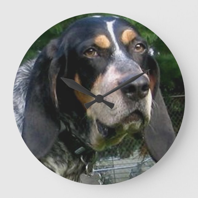 Bluetick Coonhound.png Stor Klocka (Framsida)