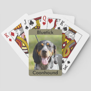 Bluetick Coonhound som leker kort Kortlek