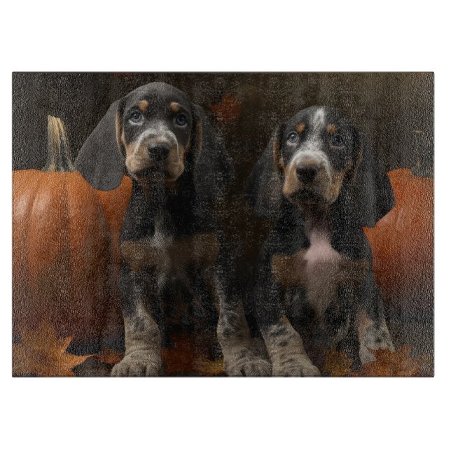 Bluetick Coonhound Valp Höstglädje Pumpa  (Framsidan)