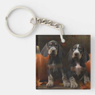 Bluetick Coonhound Valp Höstglädje Pumpa 