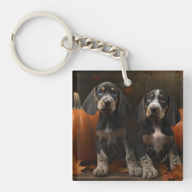 Bluetick Coonhound Valp Höstglädje Pumpa  (Framsidan)