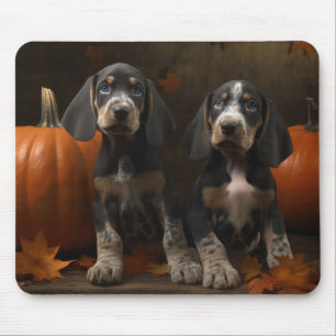Bluetick Coonhound Valp Höstglädje Pumpa  Musmatta