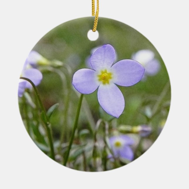 Bluets - Quakerdamer Julgransprydnad Keramik (Framsidan)