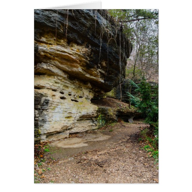 Bluff Lining Walkway OBS Kort (Framsidan)