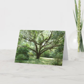 Bluffton sommareftermiddag kort