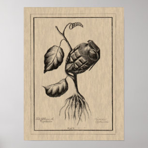 Blum de Sprängmedel Poster