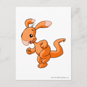 Blumaroo-Orange Vykort
