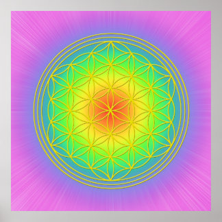 Blume des Lebens Chakra 1 Poster