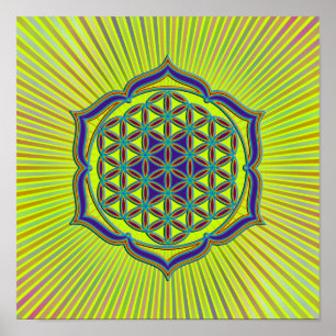 Blume des Lebens - Lotus Contour Poster