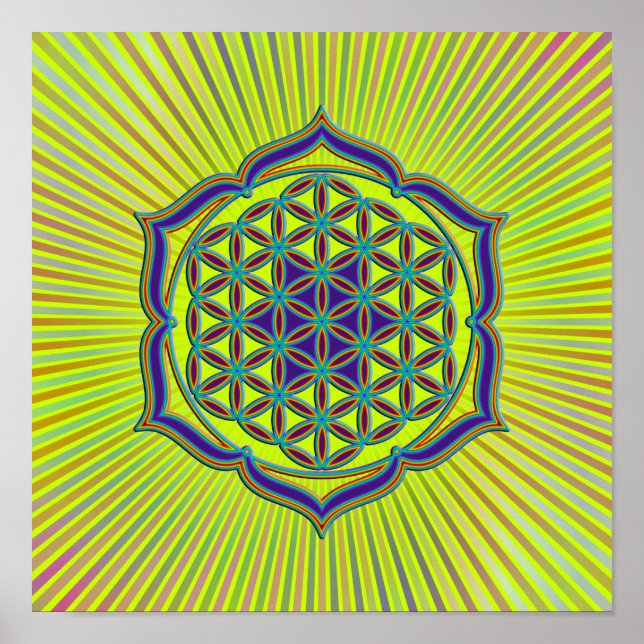 Blume des Lebens - Lotus Contour Poster (Framsidan)