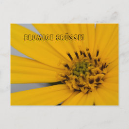 Blumen Gruß Vykort