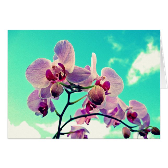 Blumen Hälsningskort (Framsidan Horizontal)