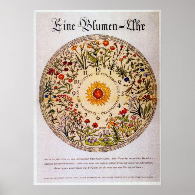 Blumenuhr Flower Clock Poster (Framsidan)