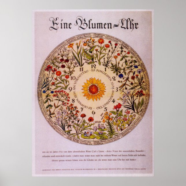 Blumenuhr Flower Clock Poster2 Poster (Framsidan)