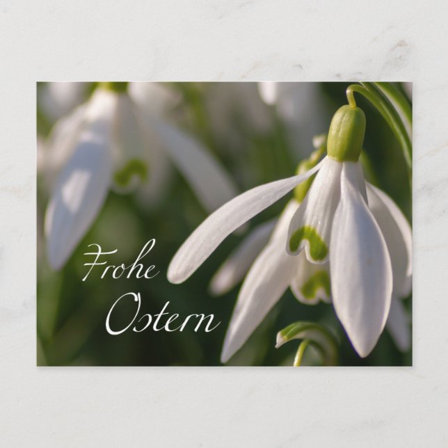 Blumige Ostergrüße aus dem Briefkasten Vykort (Framsida)