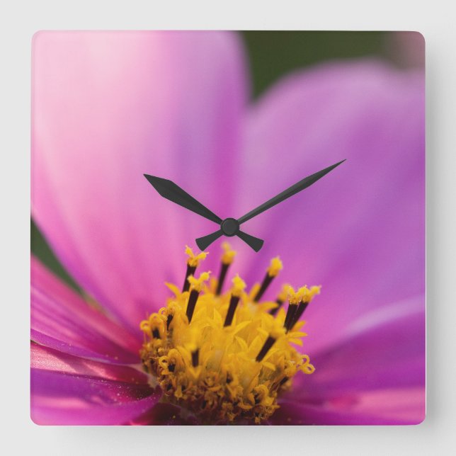 Blunda, stäng upp fyrkantig klocka (Framsida)