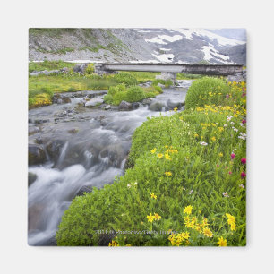 Blurry River med Gult White Rosa Wildblommor Magnet