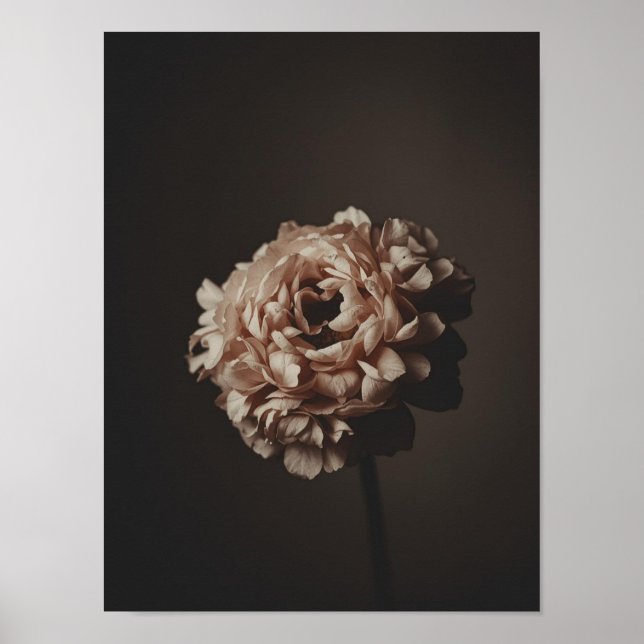 Blush Bouquet Study Poster (Framsidan)