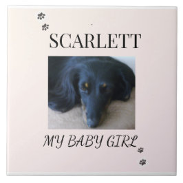 Blush Minimal Pet 1 Photo with Paw Prints Kakelplatta