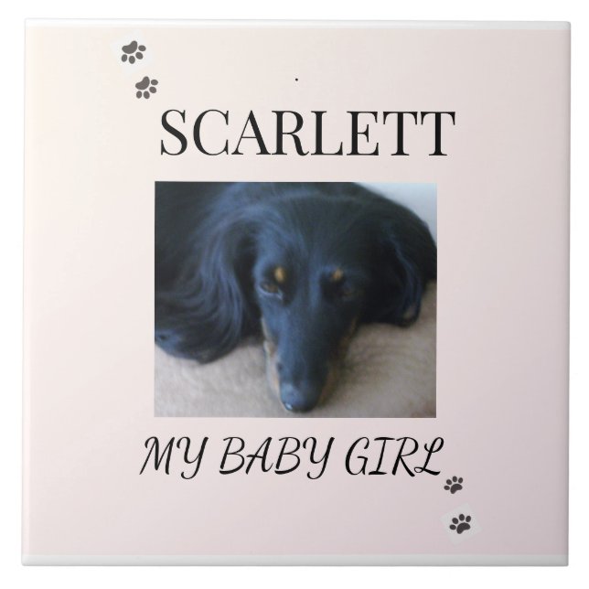 Blush Minimal Pet 1 Photo with Paw Prints Kakelplatta (Framsidan)