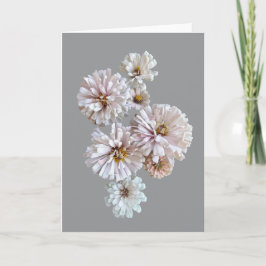 Blush Zinnia Folded Greeting Card Kort