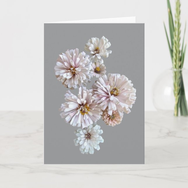Blush Zinnia Folded Greeting Card Kort (Framsida)