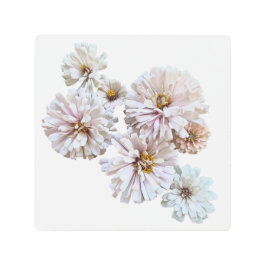Blush Zinnias Collage Metal Wall Art