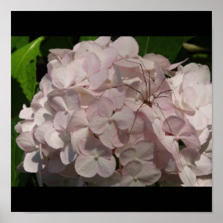 Blushing Bride och pappa-Long-Ben Poster