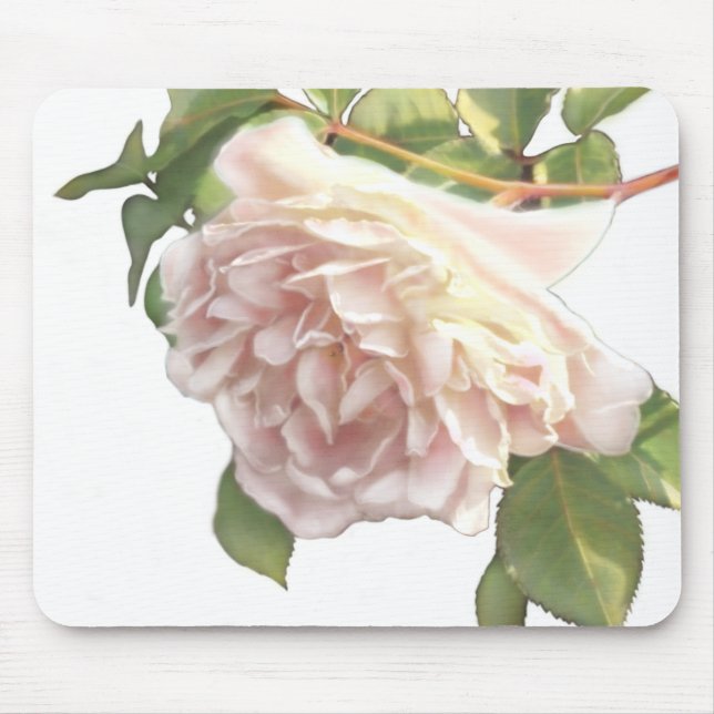 Blushing Ivory Peach Ro Musmatta (Framsidan)
