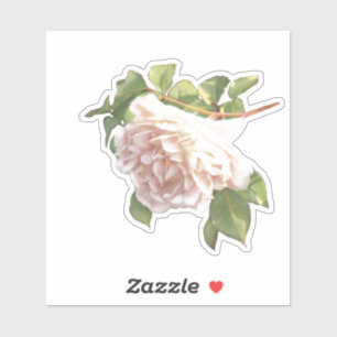 Blushing Ivory rosa Peach Ro Klistermärken