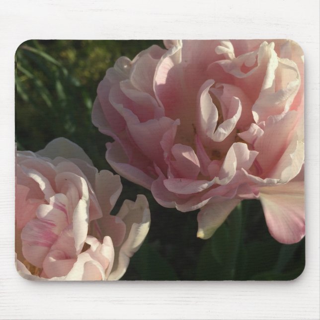 Blushing Petals Delight Musmatta (Framsidan)