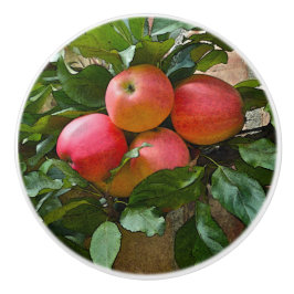 ’BLUSHING ROSA APPLES’ CERAMIC KNOB KNOPP