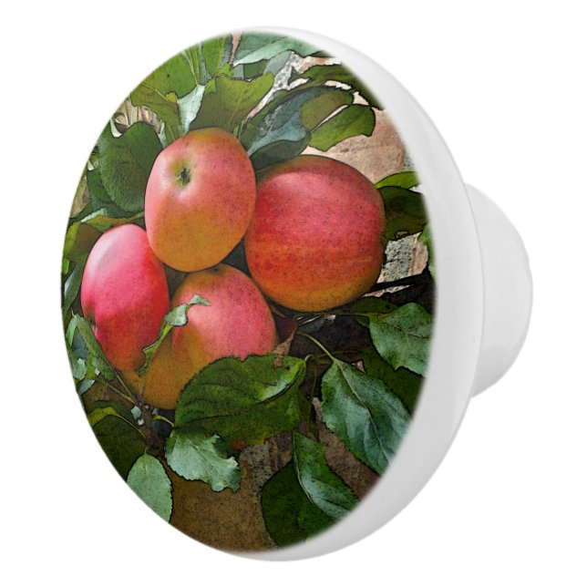 ’BLUSHING ROSA APPLES’ CERAMIC KNOB KNOPP (Höger)