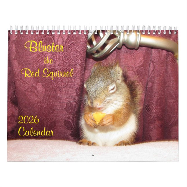 Bluster the Red Squirrel 2026 Calendar Kalender (Omslag)