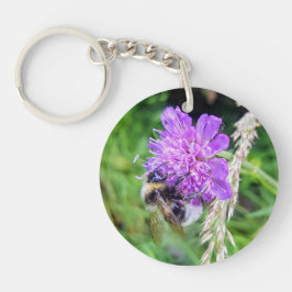 Blütenglück am Schlüsselbund – Hummel auf Skabiose