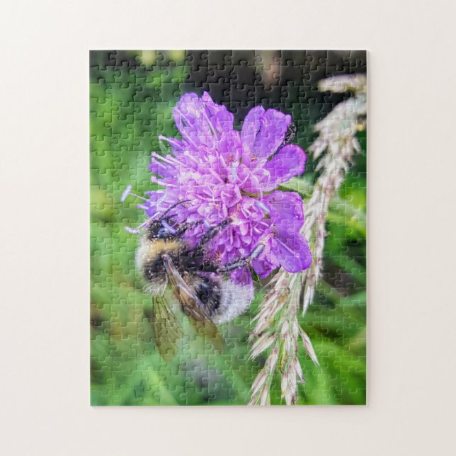 Blütenglück – Naturpuzzle mit Hummel auf Skabiose Pussel (Vertikal)
