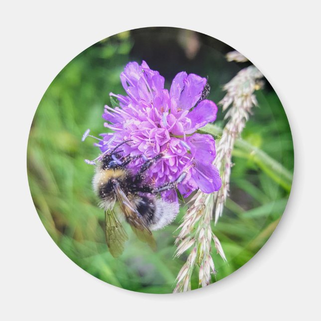Blütenkraft – Runder Magnet mit Hummelmotiv (Framsidan)