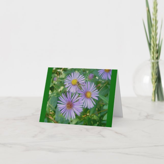 Bly Fly Lila Asters Note Card Kort (Framsida)