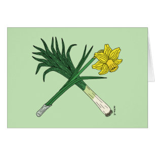 Bly och Daffodil korsade Hälsningskort