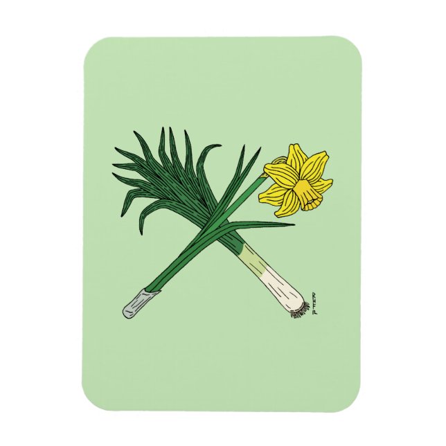 Bly och Daffodil korsade Magnet (Vertikal)