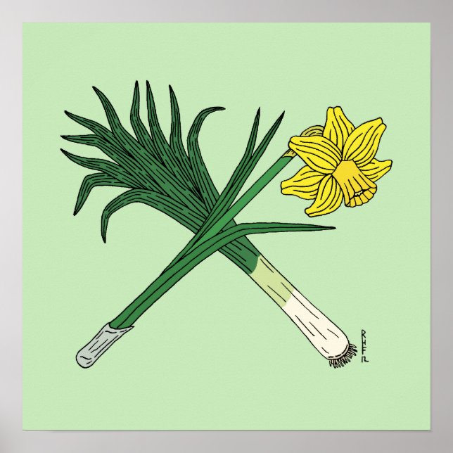Bly och Daffodil korsade Poster (Framsidan)