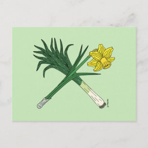 Bly och Daffodil korsade Vykort