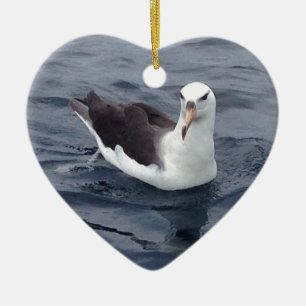 Blyg Albatross Julgransprydnad Keramik