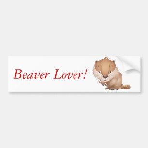 Blyg bäver bildekal