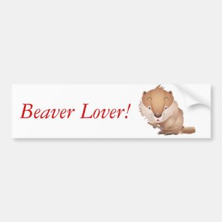 Blyg bäver bildekal