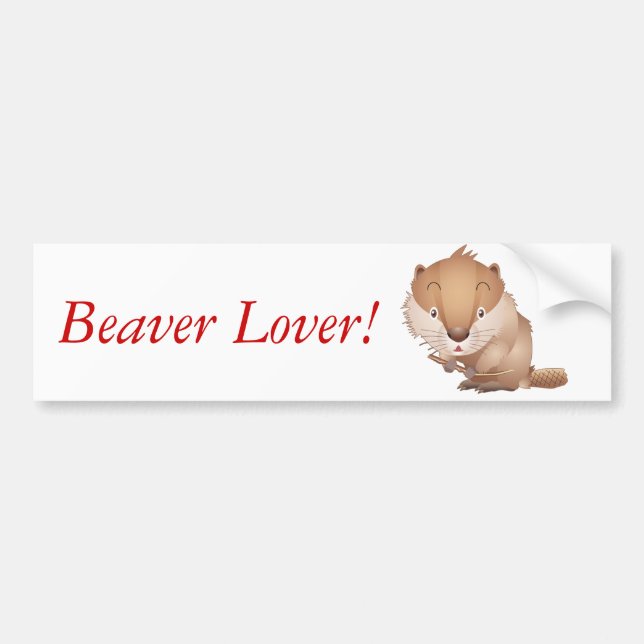 Blyg bäver bildekal (Framsidan)