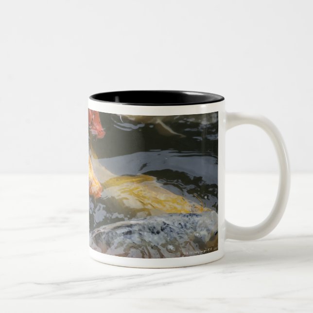 Blyg fisk Två-Tonad mugg (Höger)