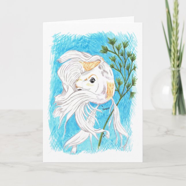 Blyg/Koi tomt kort (Framsida)