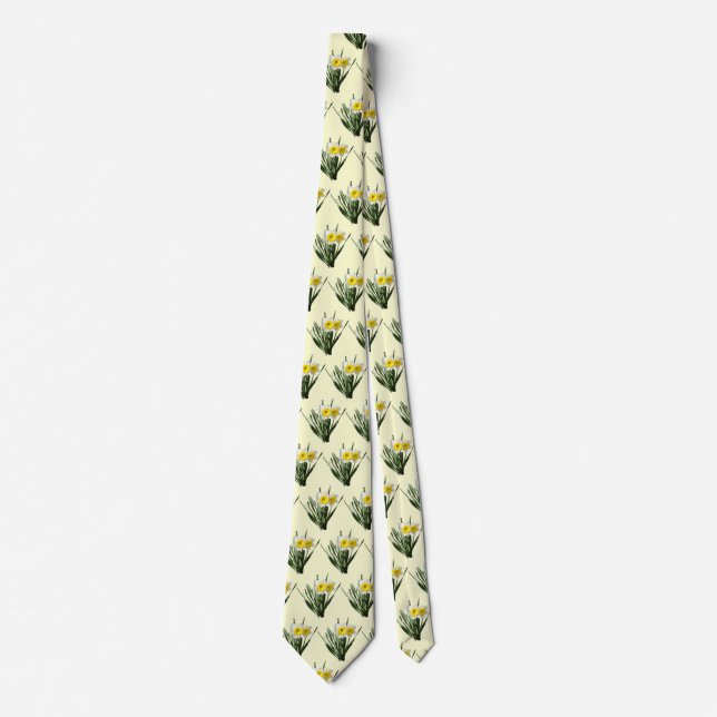 Blyg liten narciss slips (Framsida)